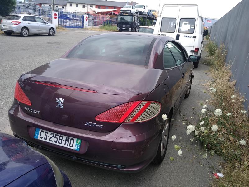 Image Verin de coffre - PEUGEOT 307