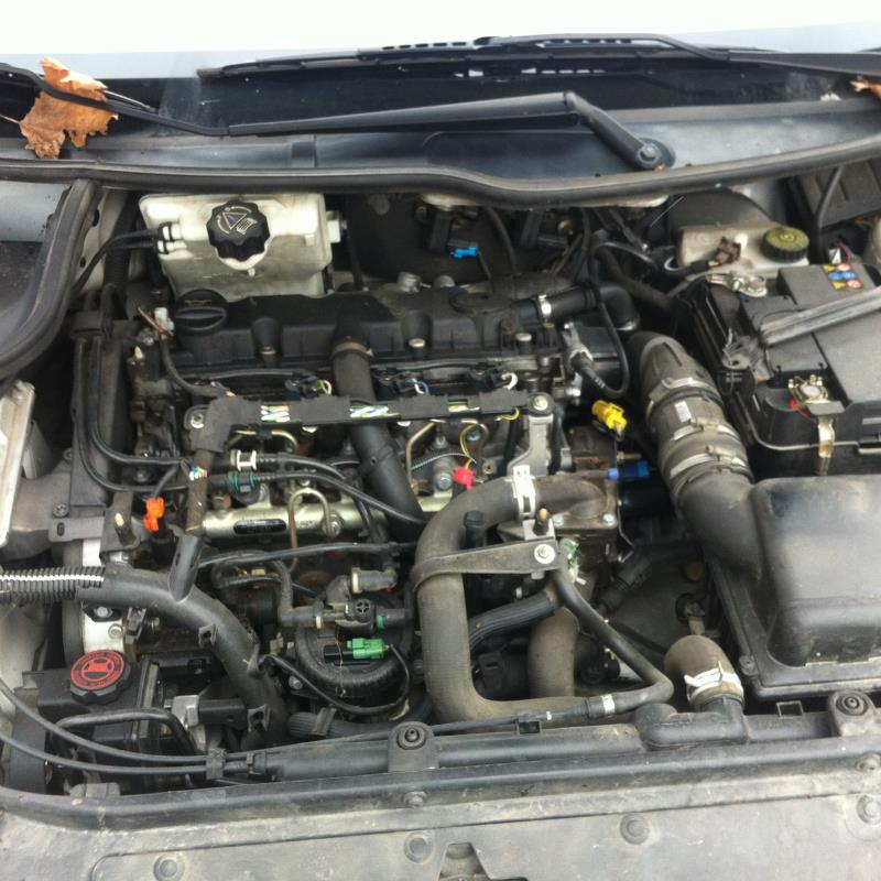 Image Feu arriere principal gauche (feux) - PEUGEOT 206