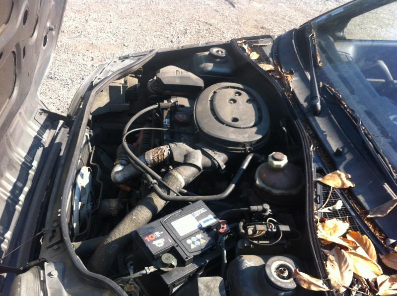 Image Feu arriere principal droit (feux) - RENAULT CLIO 1