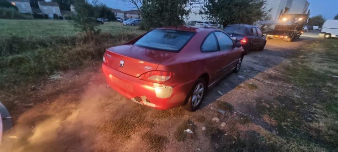 Image Platine feu arriere droit - PEUGEOT 406