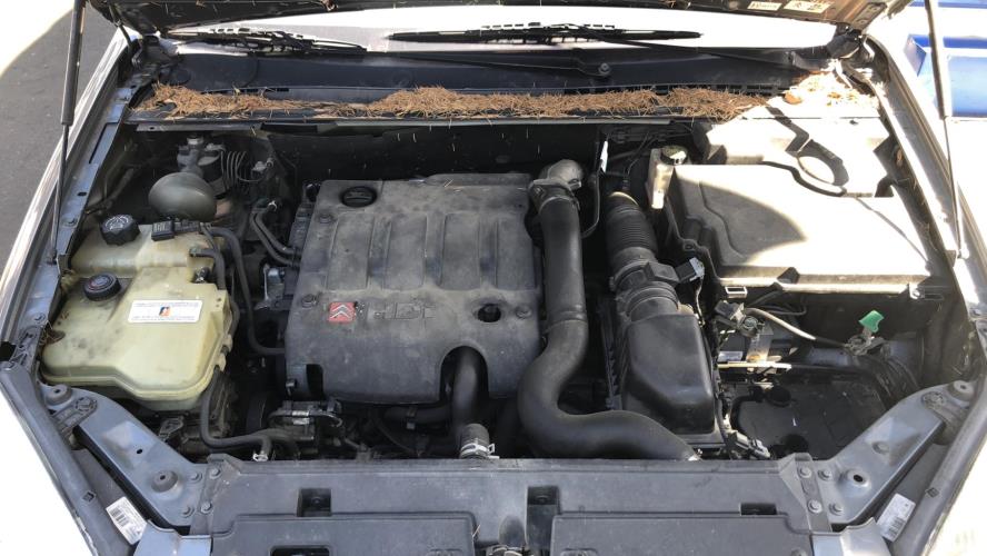 Image Retroviseur droit - CITROEN C5 1