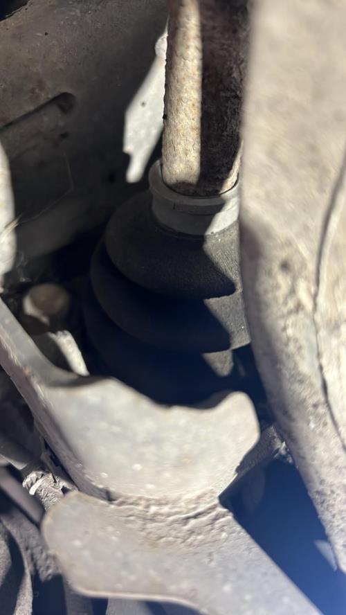 Image Cardan arriere droit (transmission) - RENAULT KOLEOS 1