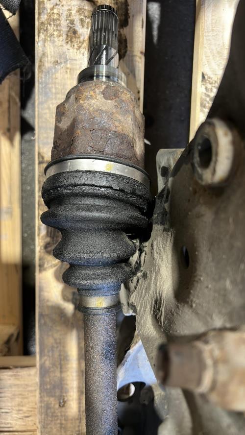 Image Cardan arriere droit (transmission) - RENAULT KOLEOS 1