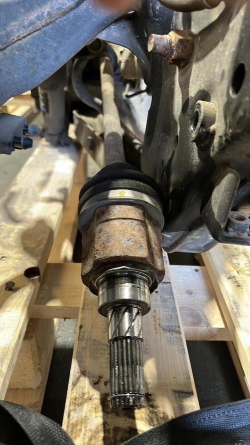 Image Cardan arriere gauche (transmission) - RENAULT KOLEOS 1