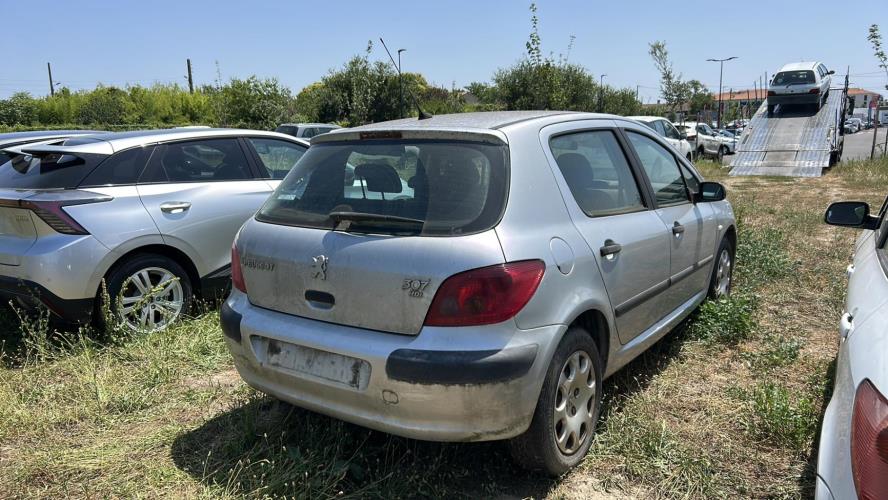 Image Retroviseur gauche - PEUGEOT 307