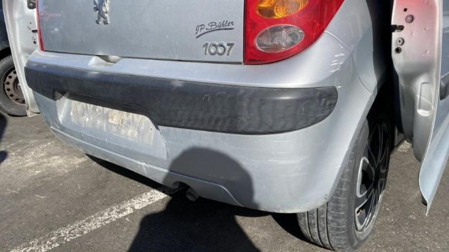 Image Pare choc arriere - PEUGEOT 1007
