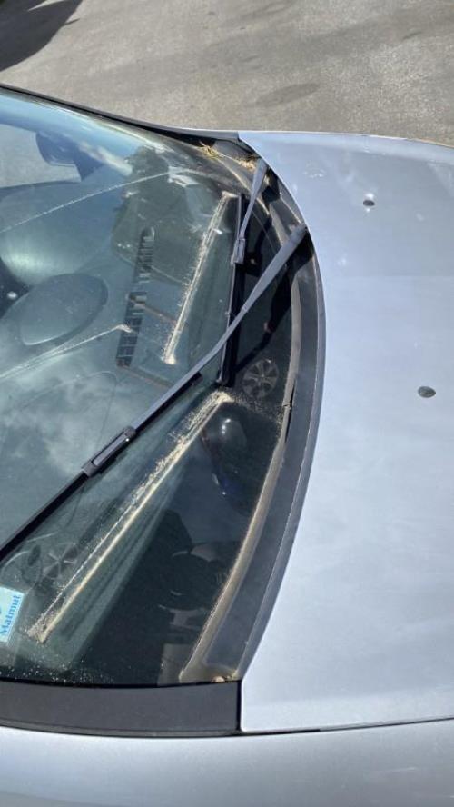 Image Platine feu arriere droit - RENAULT CLIO 3