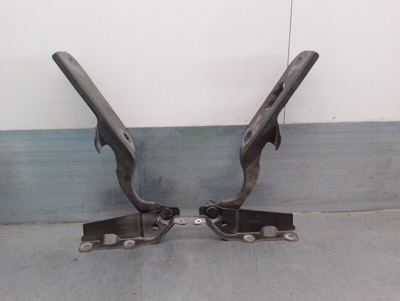 Cerniera cofano JEEP GRAND CHEROKEE (WH) CRD CAT Diésel - 1