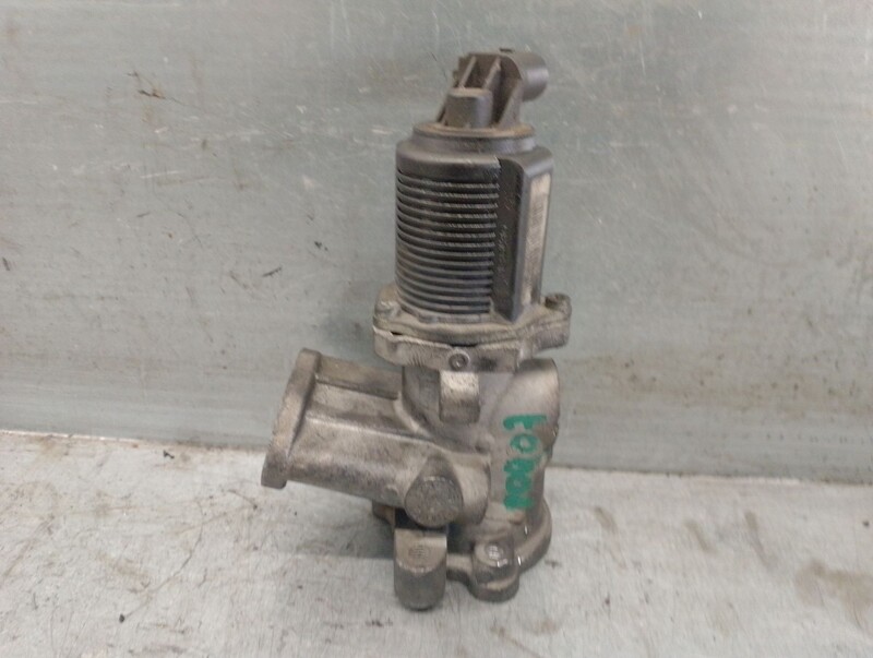 Vanne EGR FIAT PANDA Furgoneta/Hatchback (169_) 1.3 D Multijet Diesel - 1