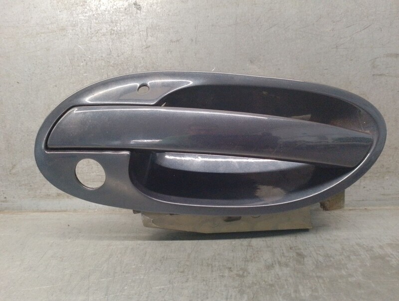Maniglia portiera anteriore sinistra BMW 7 (E65, E66, E67) 730 d Diésel - 1