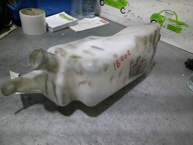 Vase de lave glace RENAULT CLIO III (BR0/1, CR0/1) BR1G) Diesel - 1