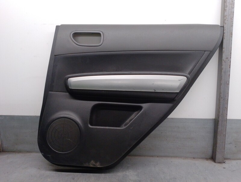 Pannello portiera posteriore destro NISSAN X-TRAIL II (T31) 2.0 FWD Diésel - 1