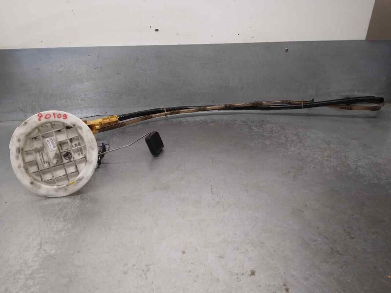 Pompe immergee AUDI A6 C6 (4F2) 3.0 TDI quattro Diesel - 1