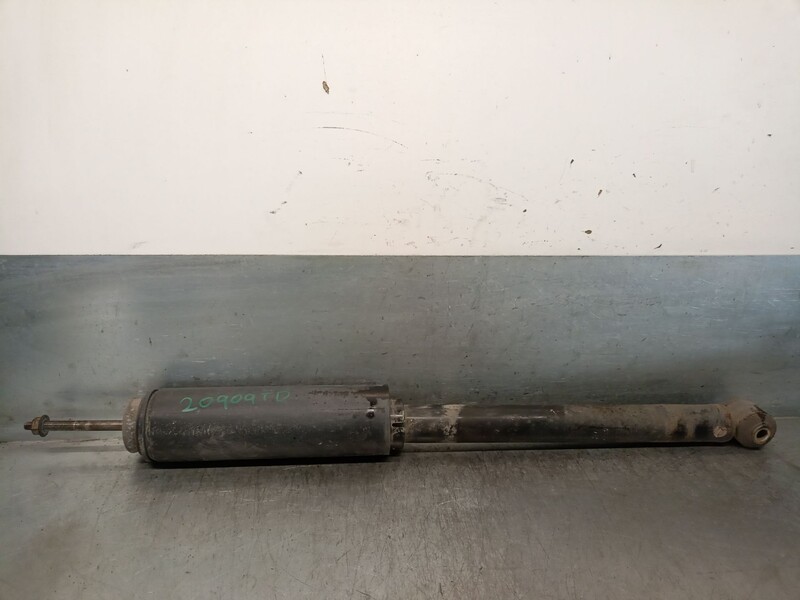 Ammortizzatore posteriore destro FIAT BRAVO II (198_) 1.6 D Multijet Diésel - 1