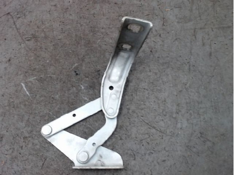 Charniere de capot NISSAN INTERSTAR PHASE 2 Diesel INTERSTAR PHASE 2 DIESEL Diesel - 1
