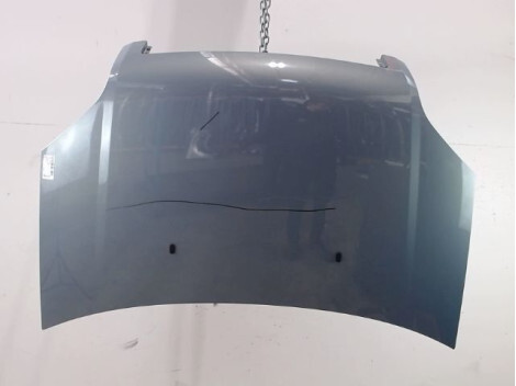 Capot FORD FUSION 2005- Diesel - 1