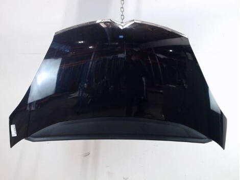 Capot CITROEN C4 PICASSO LONG Diesel - 1