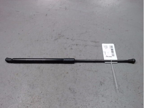 Verin de capot LEXUS RX Essence - 1