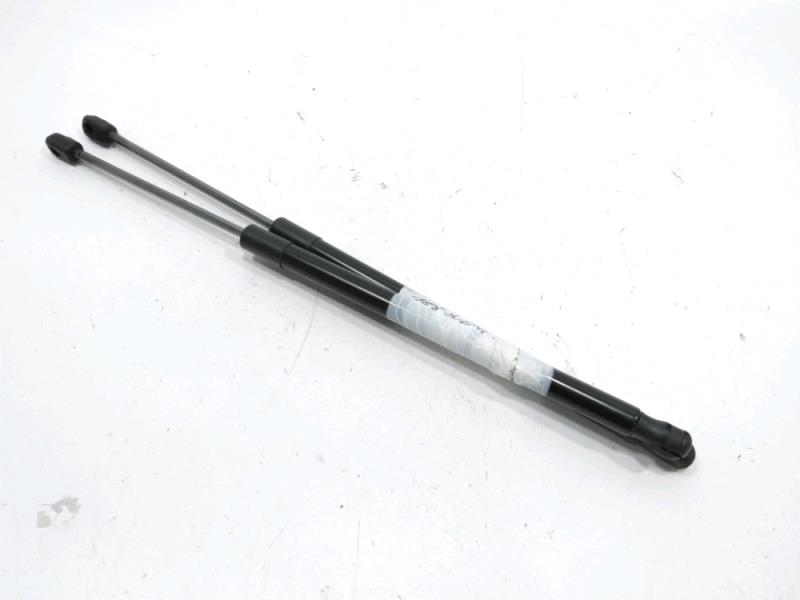 Verin de coffre RENAULT SCENIC 2 Essence - 1