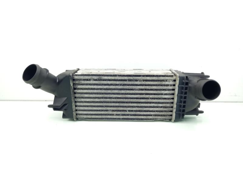 Echangeur air (Intercooler) CITROËN C5 BERLINA Exclusive Diesel - 1