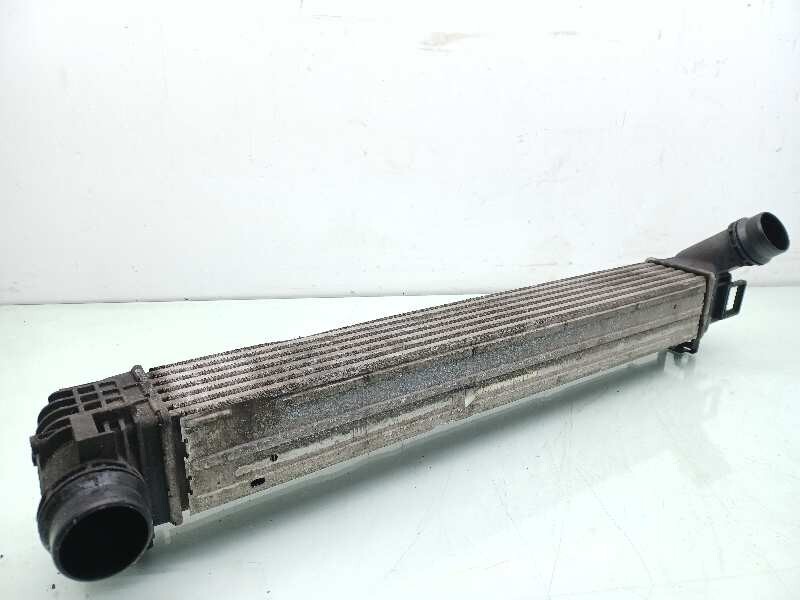 Scambiatore aria (Intercooler) RENAULT SCENIC III BOSE Edition Diésel - 1
