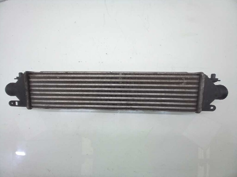 Scambiatore aria (Intercooler) FIAT DOBLO Active Diésel - 1