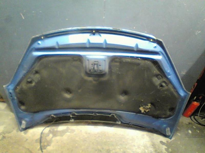 Capot FORD FOCUS Diesel - 1