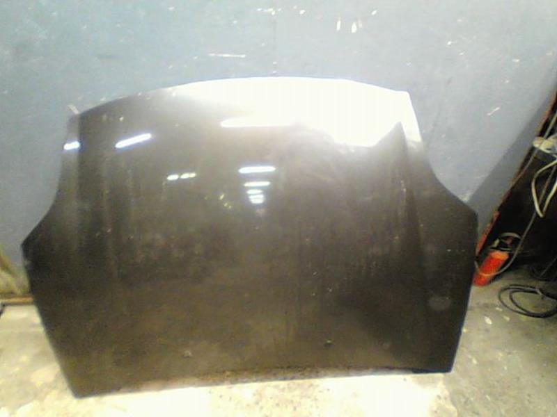 Capot FIAT BRAVO Essence - 1