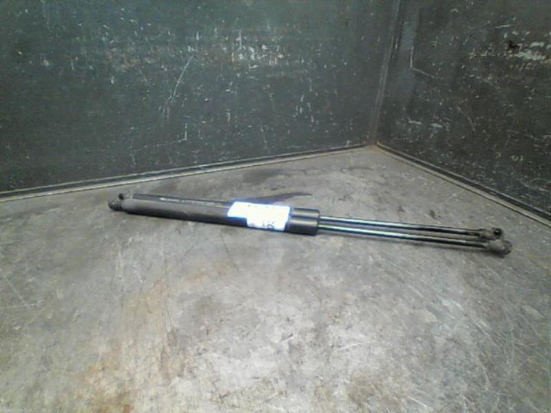 Verin de coffre RENAULT SCENIC Diesel - 1