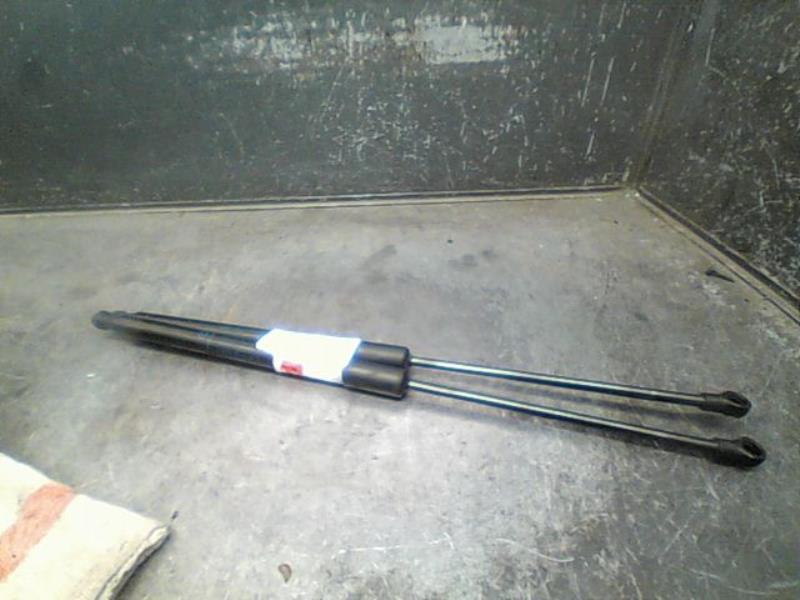 Verin de coffre RENAULT SCENIC 4 Essence - 1
