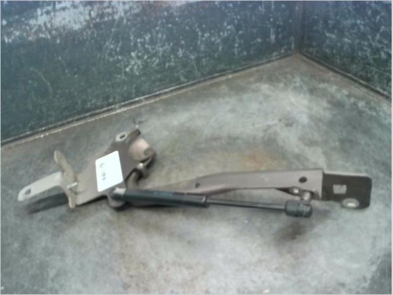 Charniere de capot RENAULT SCENIC Diesel - 1