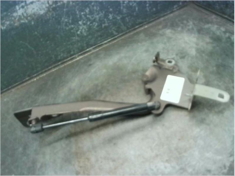 Charniere de capot RENAULT SCENIC Diesel - 1