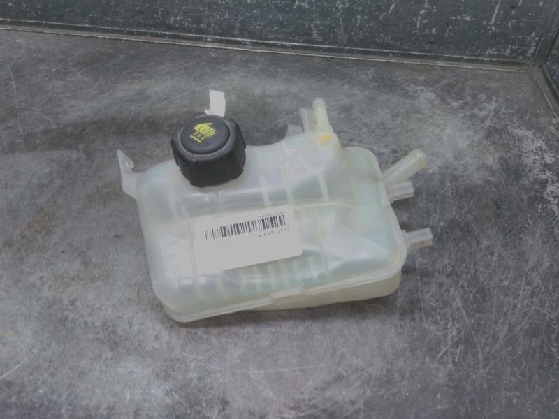 Vase d'expansion RENAULT SCENIC Diesel - 1
