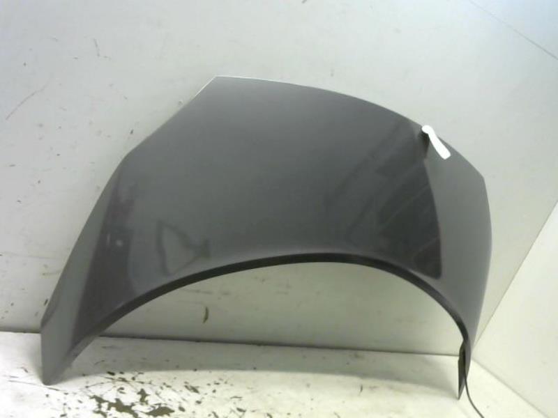 Capot RENAULT SCENIC II Diesel - 1