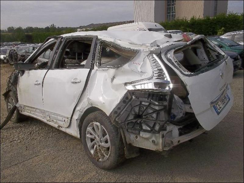Colonne de direction RENAULT GRAND SCENIC 3 PHASE 2 Diesel - 1
