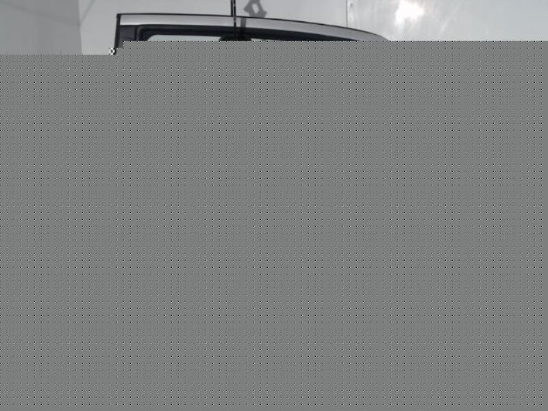 Porte arriere gauche HYUNDAI GETZ PHASE 1 Essence - 1